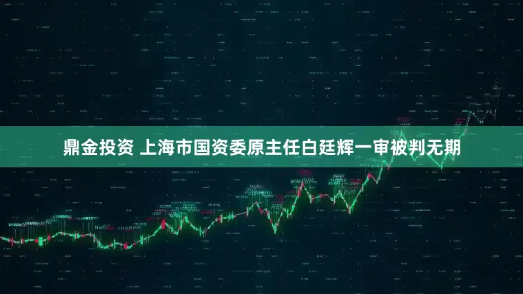 鼎金投资 上海市国资委原主任白廷辉一审被判无期