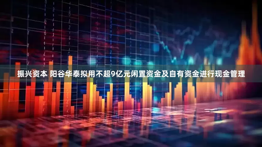 振兴资本 阳谷华泰拟用不超9亿元闲置资金及自有资金进行现金管理