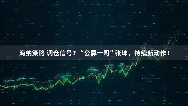 海纳策略 调仓信号？“公募一哥”张坤，持续新动作！