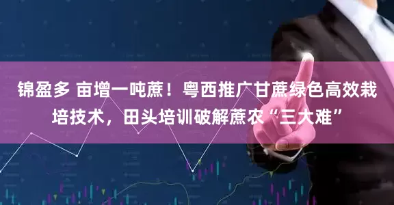 锦盈多 亩增一吨蔗！粤西推广甘蔗绿色高效栽培技术，田头培训破解蔗农“三大难”